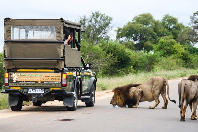 Full Day Safari - Kruger National Park - The Itinerary in Detail