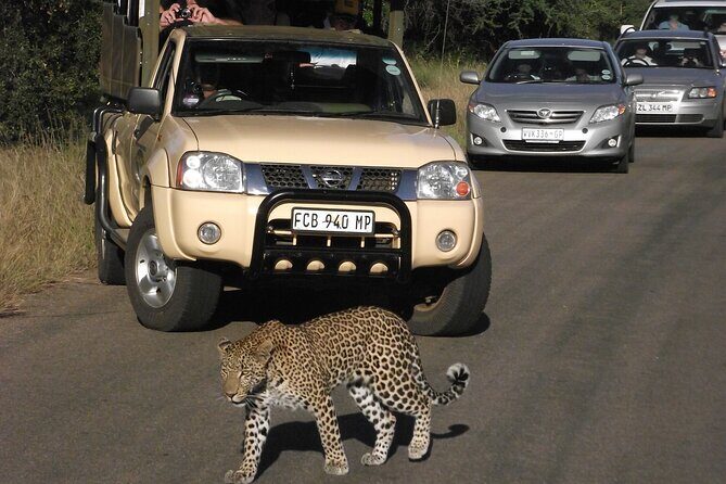 Full Day Safari Shared Tour at Kruger National Park - Who Will Love This Safari?