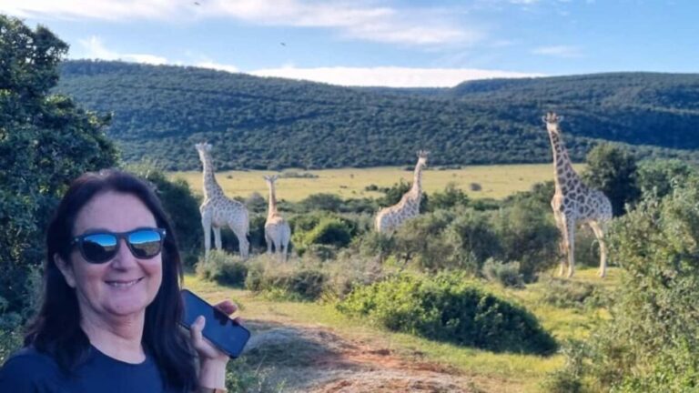 Full-Day Schotia Game Reserve & Giraffe Walk (Open 4x4) - Why This Tour Offers Real Value