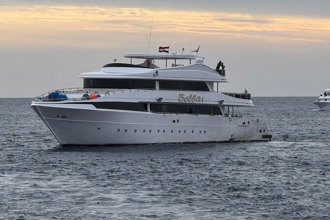 Full Day Scuba Diving Boat Trip for Professional Divers_Hurghada - The Itinerary: A Day of Underwater Discovery