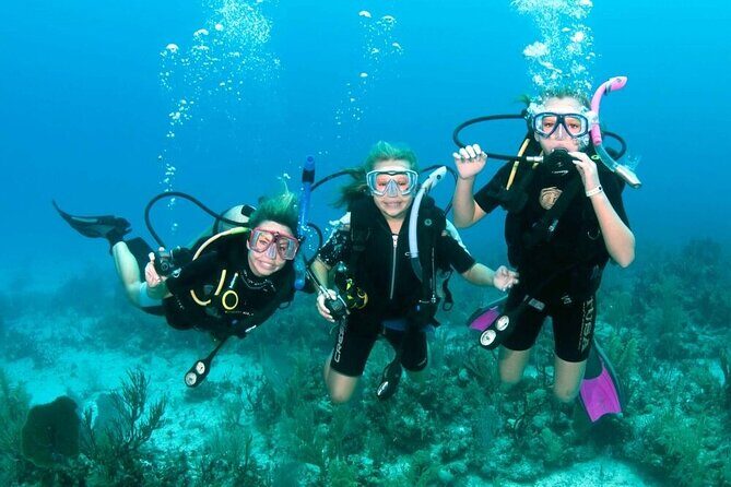 Full-day Scuba Diving Experience for Beginners & Lunch - Sharm El Sheikh - Authentic Insights from Travelers