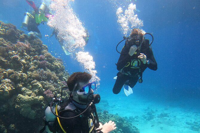 Full Day Scupa Diving And Snorkeling sea trip activity - Hurghada - Why Choose This Tour?