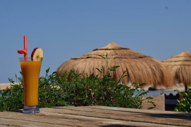 Full day Semi Private Sharm El Naga National Park from Hurghada - Who Will Love This Tour?
