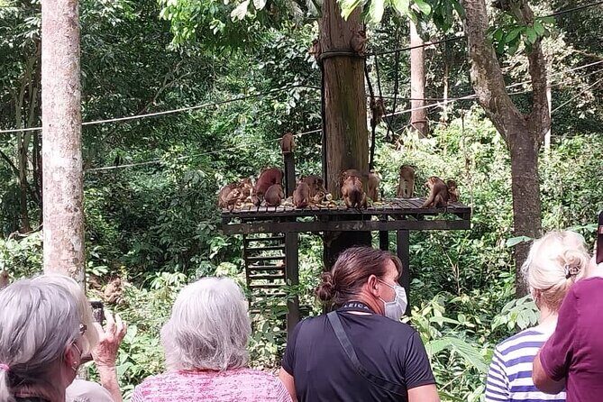 Full-Day Sepilok Orangutan and Sandakan City Trail from Kota Kinabalu - Detailed Review of the Tour Experience