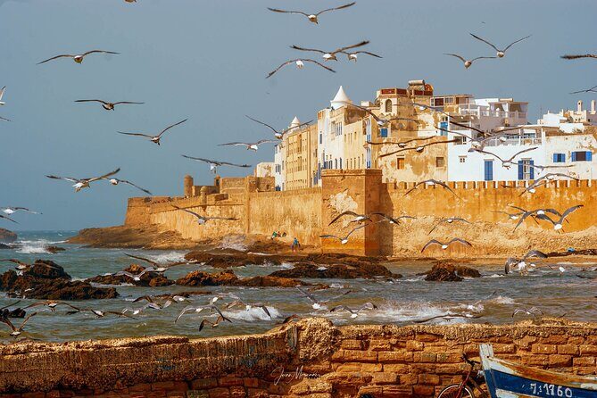 Full Day Shared Tour in Essaouira - What the Reviews Say