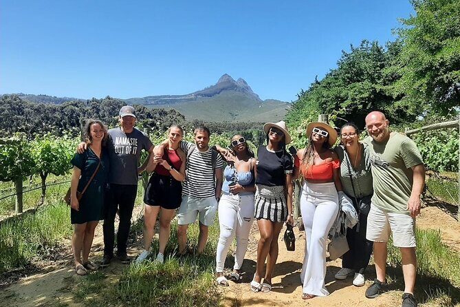Full Day Small Group Wine Tour Cape Town and Stellenbosch - What Travelers Say