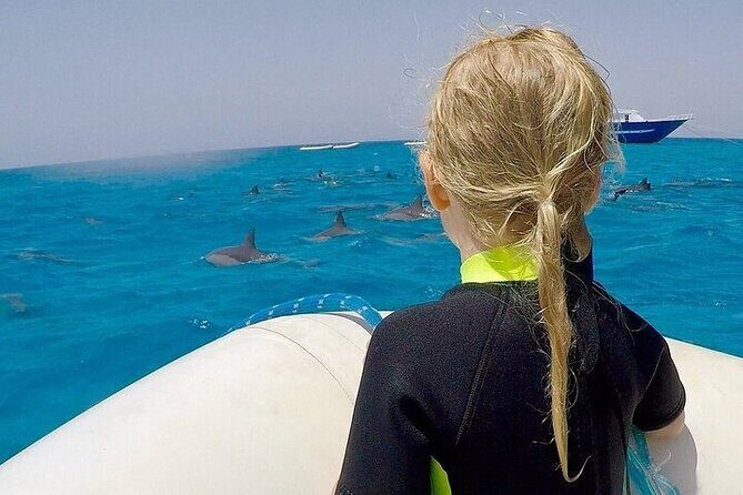 Full Day Snorkeling in Hurghada Dolphin House - Final Considerations for Potential Travelers