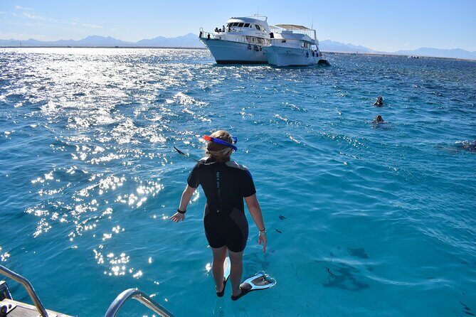 Full-Day Snorkeling Tour to Utopia Island from Luxor - What to Expect from This Full-Day Aquatic Adventure