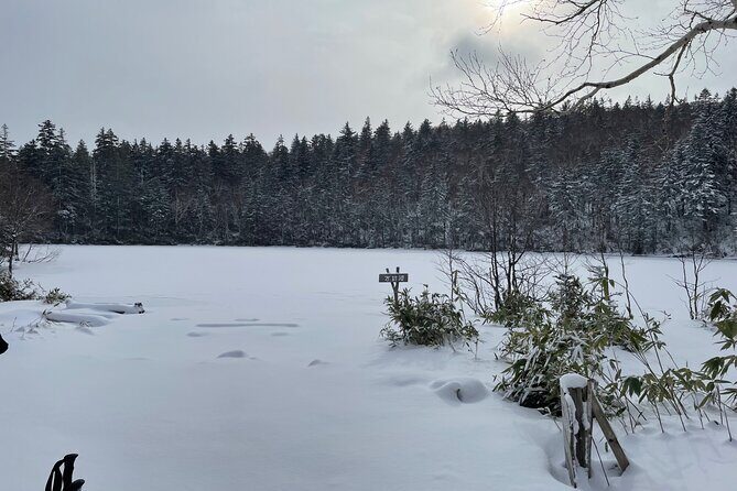 Full Day Snowshoeing Adventures with Onsen. - Who Will Love This Tour?