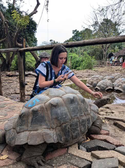 Full day Spice Tour + Prison Island + Stone Town Tour - The Sum Up