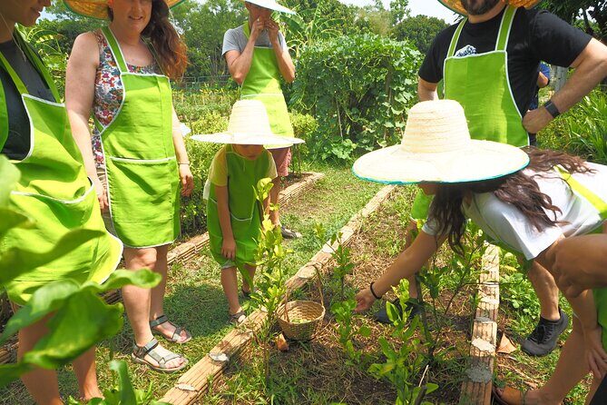 Full Day Thai Cooking at Farm (Chiang Mai) - Who Will Love This Tour?