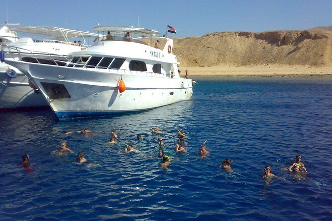 Full Day Tiran Island Snorkeling Sea trip & Lunch With Transfer - Sharm Elsheikh - Practical Tips for Booking and Enjoying