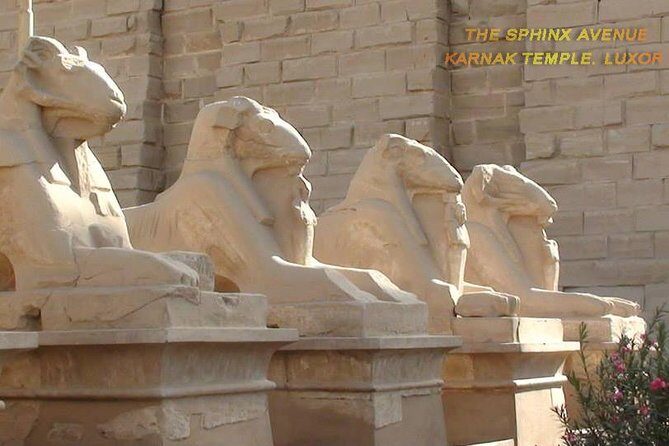 Full Day Tour: East And West Banks Of Luxor - What’s Included and What to Consider