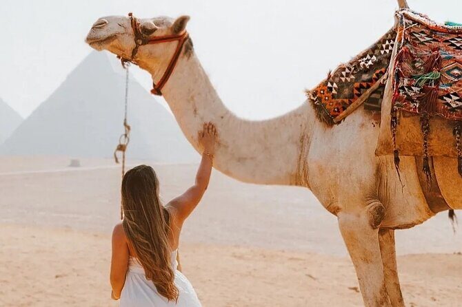 Full Day Tour Giza Pyramids, Sphinx and Egyptian Museum &Felucca - Why This Tour Delivers Value