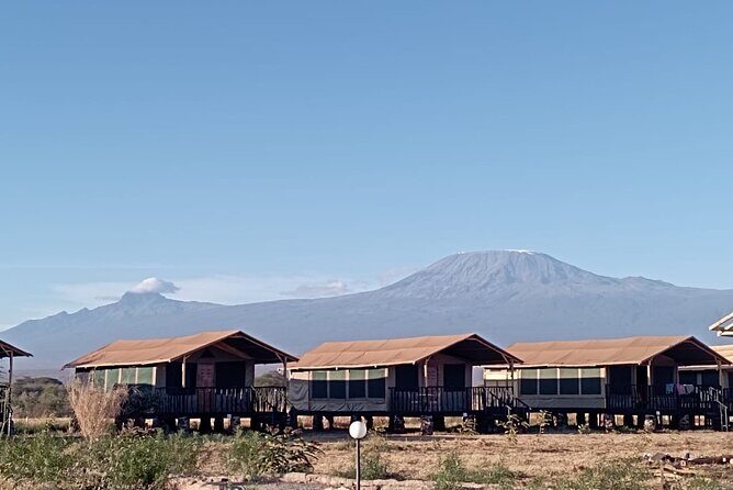 Full Day Tour in Amboseli National Park from Nairobi - The Logistics: Comfort, Cost, and Convenience