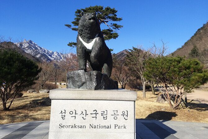 Full-Day Tour in Mt. Seorak & Nami (+Rail Bike Option) - Final Thoughts: Who Will Love This Tour?