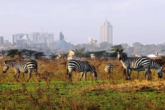 Full Day Tour Nairobi National Park, Giraffe Center ,Karen Blixen - Who Will Benefit Most?