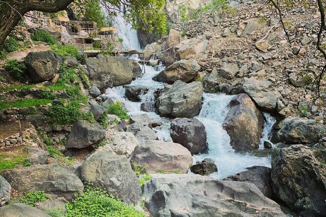 Full Day Tour to Atlas Mountains in Imlil Valley - What the Reviews Say