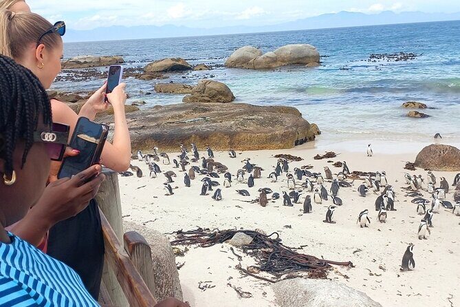 Full-Day Tour to Cape of Good Hope & Penguins from Cape Town - What Makes This Tour Stand Out?