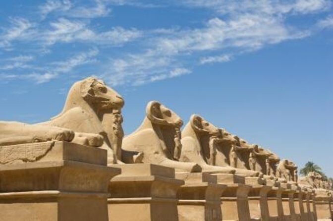 Full Day Tour to East and West Banks of Luxor (Private) - Why This Tour Offers Great Value