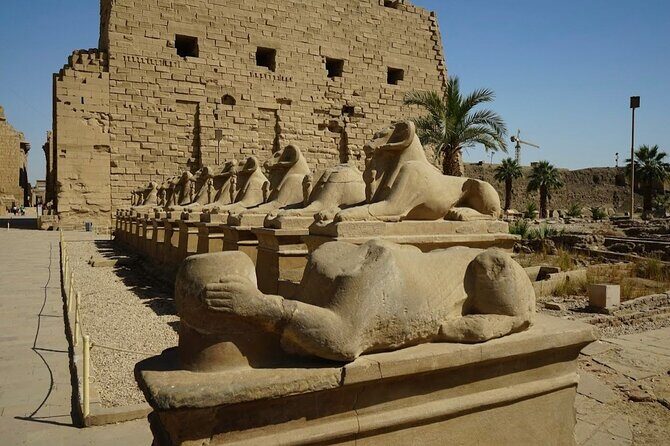 Full Day Tour to East and WestBanks of Luxor (Private) - Why Travelers Love This Tour