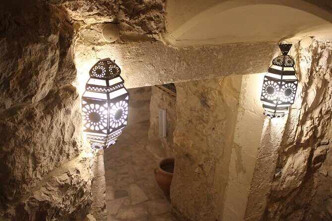 Full Day Tour to Jerash, Ajloun & Umm Qais "North Long Trip" - Key Points