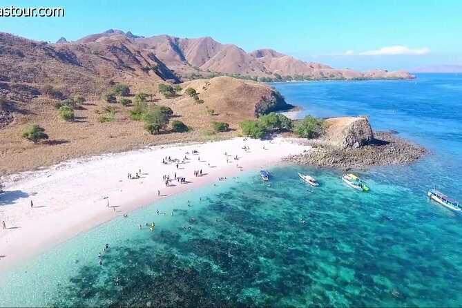 Full Day Tour to Komodo Island By Speed Boat to explore 6 destinations - What’s Included and What’s Not