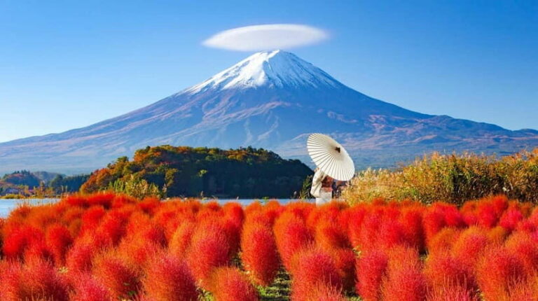 Full-Day Tour to the Picturesque Spots of Mount Fuji - What Sets This Tour Apart?
