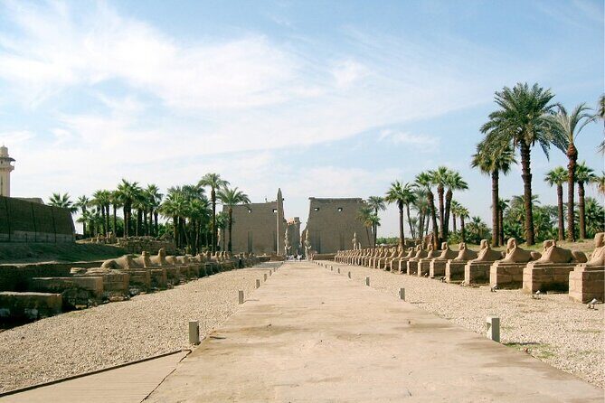 Full Day Tour Valley of Kings, Hatshepsut, Karnak & Luxor Temples - Valley of the Kings: The Royal Necropolis