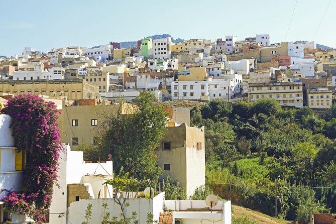 Full-Day Tour with a Group to Volubilis Moulay Idriss Meknes from Fez - Transportation and Group Dynamics