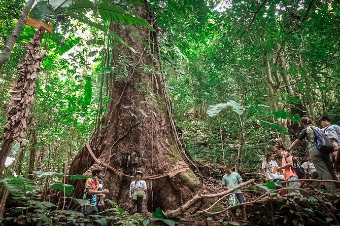 Full-Day Trekking and Sightseeing Tour in Mae Kampong - What Makes This Tour Stand Out?