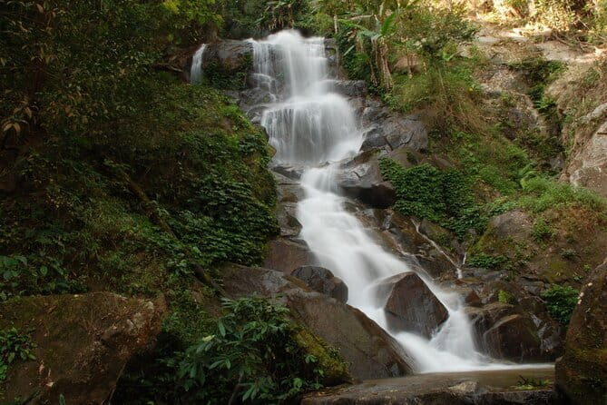 Full Day Trekking & bamboo cooking Tour in Chiang Rai - The Overall Experience and Value