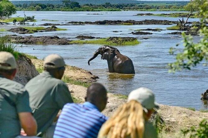 Full-Day Trip Chobe National Park Safari - A Closer Look at the Itinerary