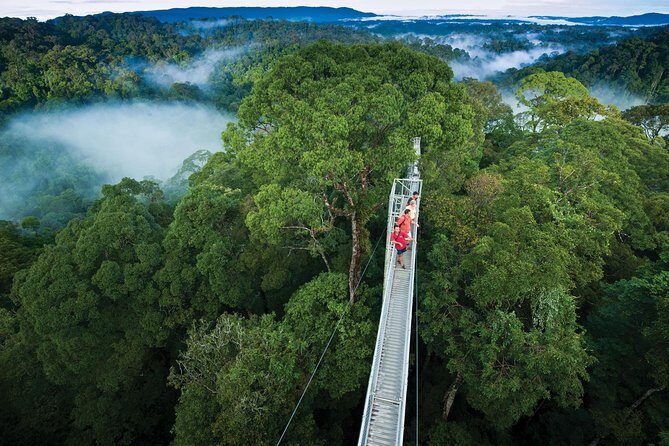 Full Day Trip of Brunei Ulu Temburong National Park including Canopy Walk - Transportation and Group Size