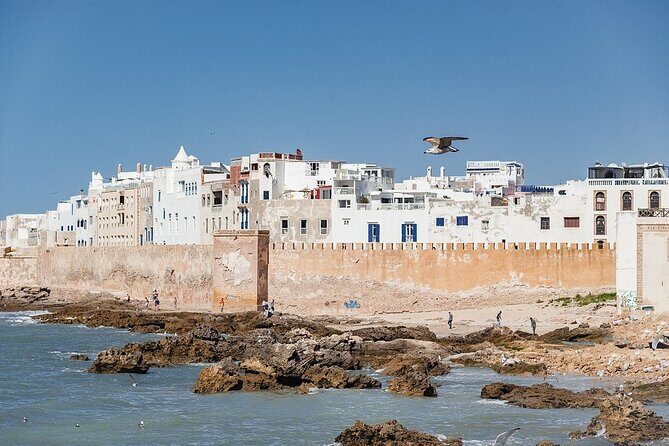 Full Day Trip To Essaouira Mogador From Marrakech - Transportation and Overall Experience