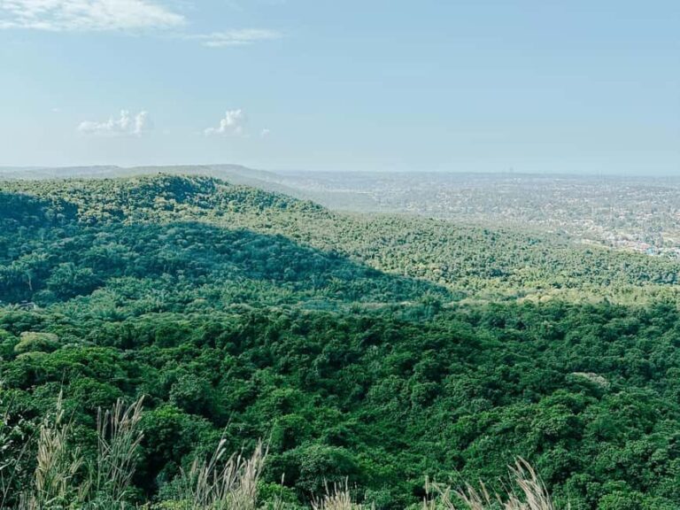 Full Day Trip to Pugu Forest from Dar es Salaam - Why This Tour Offers Great Value