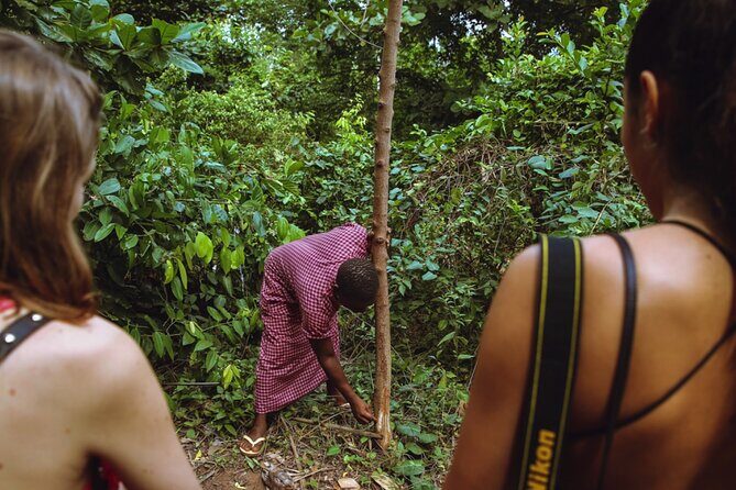 Full Day Trip to Stone Town, Spice Farms and Prison Island - Exploring Each Stop: A Deep Dive
