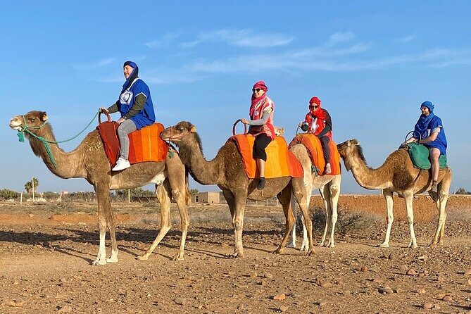 Full-day trip to the Atlas Mountains of Morocco and Camel ride - Who Will Love This Tour?