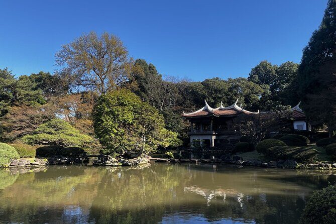 Full Day Walking Tour in Shinjuku and Shibuya - Practical Details and Tips