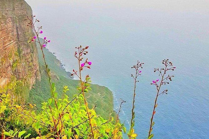 Full day west tour of Salalah - In-Depth: The Itinerary Breakdown