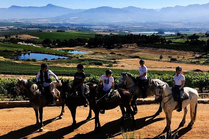 Full Day Wine Tasting Horse Trail - The Practicalities of the Experience