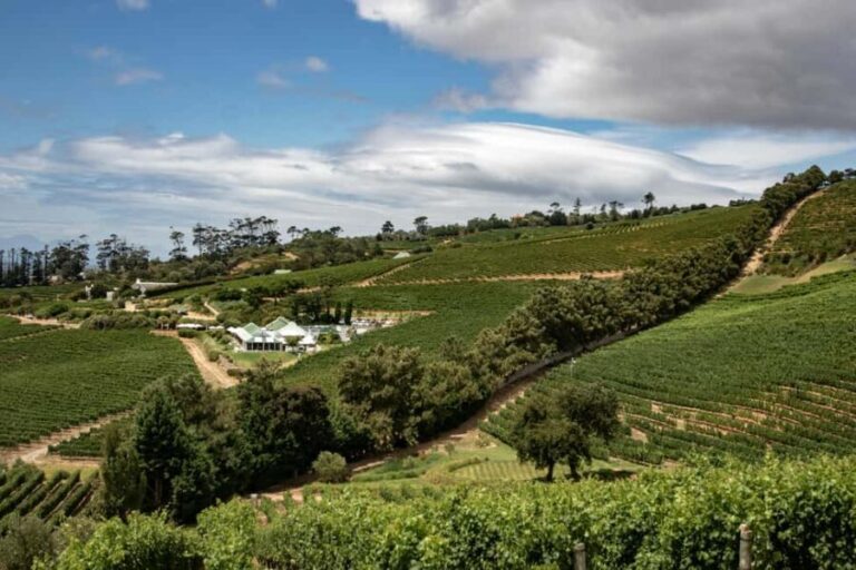 Full Day Winelands Tours - Exploring the Itinerary: What to Expect