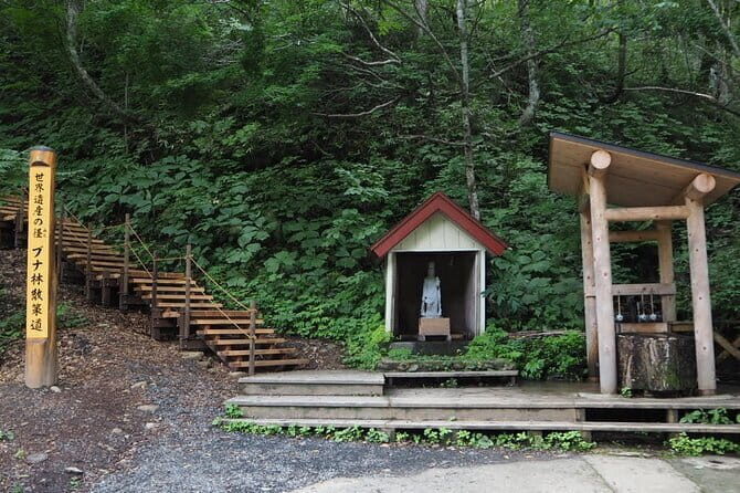 Full Day World Heritage Shirakami Mountains Hiking Tour - Practical Details and What Travelers Can Expect