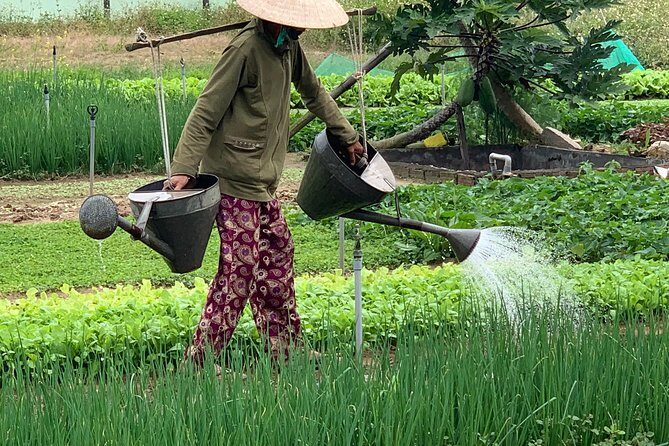 Full Experience Tour: Cooking Class & Basket Boat at Eco-Village - Practical Details and Tips