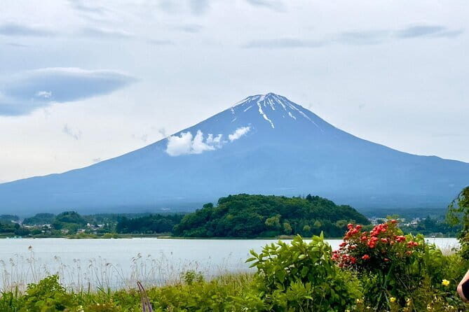 Full Guided Mt. Fuji & Shiba-Sakura Festival One Day Pvt.Tour - The Experience and Practicalities