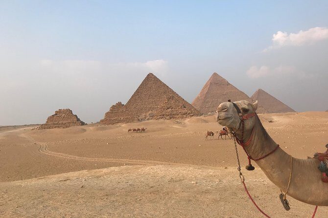 Full Pyramids tour to Giza, Sakkara and Memphis - Who Should Book This Tour?