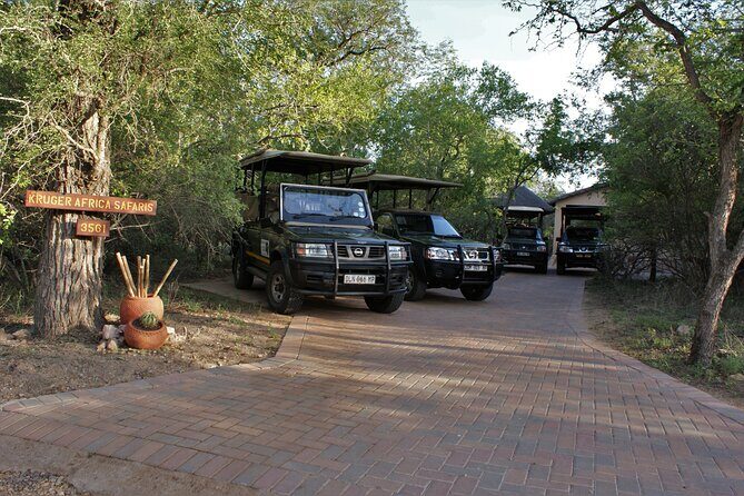 Fullday Gamedrives in Kruger National Park from Marlothpark - Final Thoughts: Why Pick This Safari?