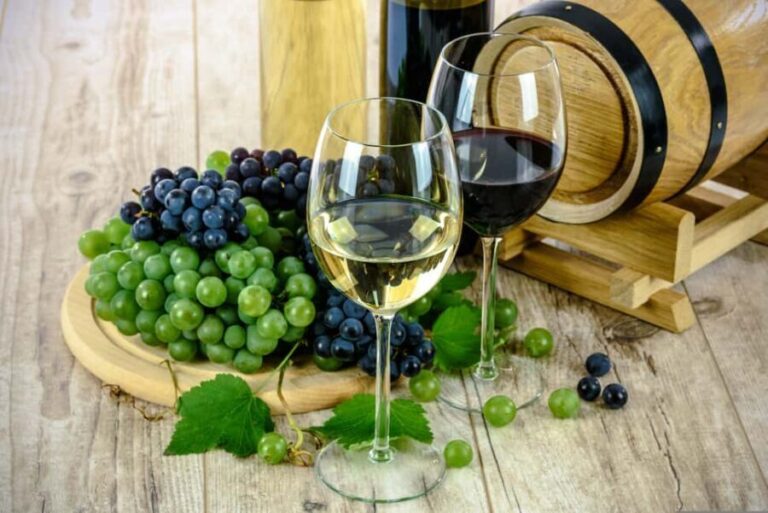 Fullday Wine Tour - The Experience and Its Value