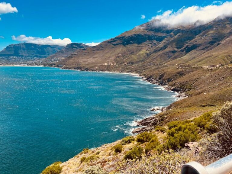 Fully Day Cape Of Good Hope, Penguins, Bo Kaap , Seals Tour - Who Is This Tour Best For?