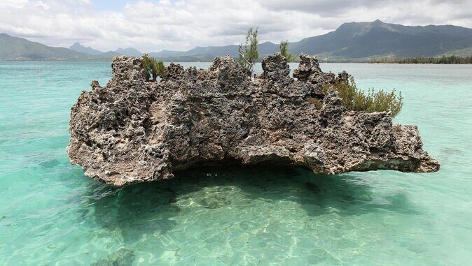 Fully Day Tour: Dolphin Encounters, Crystal Rock at Benitiers Island - Key Points